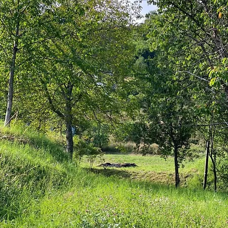 Prázdninový dům Casa Tintel